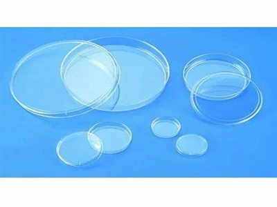 Petri Dish